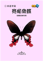 宽尾凤蝶