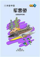 军曹鱼