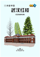 武汉红楼