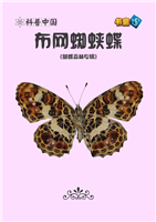 布网蜘蛱蝶