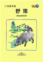 野猪