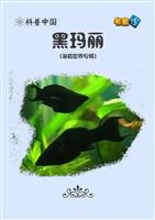 黑玛丽