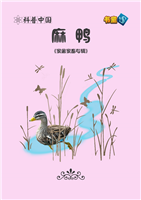 麻鸭