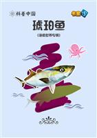 琥珀鱼