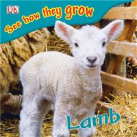 DK See  how they grow Lamb