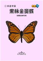 黑脉金斑蝶