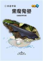 黑魔鬼鱼