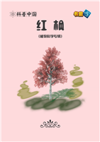红枫