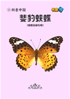 斐豹蛱蝶