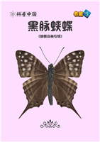 黑脉蛱蝶