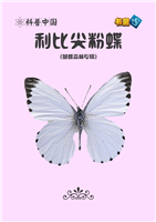 利比尖粉蝶