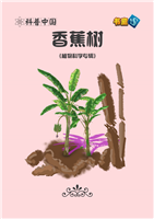 香蕉树