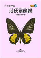 范氏裳凤蝶