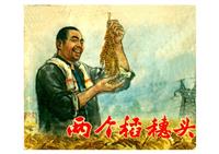 两个稻穗头