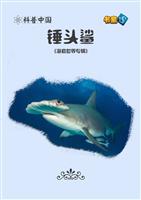 锤头鲨