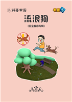 流浪狗