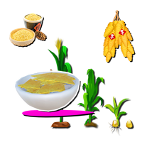 玉米饼