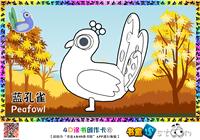 蓝孔雀