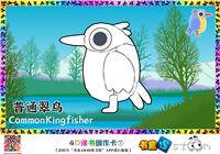 普通翠鸟