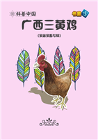 广西三黄鸡