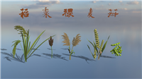 五谷