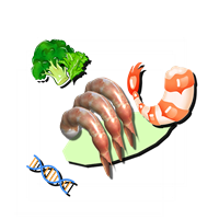 虾仁