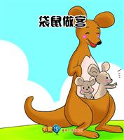 袋鼠做客