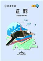 企鹅