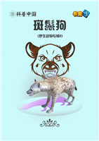 斑鬣狗