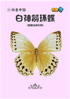 白袖箭环蝶