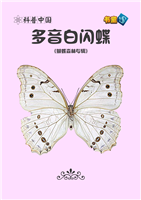 多音白闪蝶