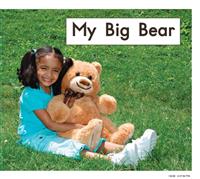 MyBigBear