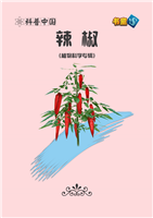 辣椒