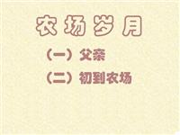 农场岁月