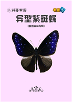 异型紫斑蝶