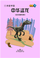 中华盗龙