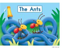 TheAnts
