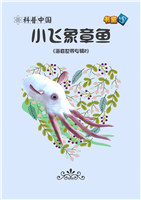 小飞象章鱼