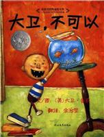 大卫，不可以
