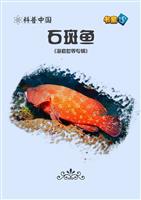 石斑鱼
