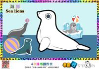 海狮