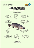巴西笛鲷