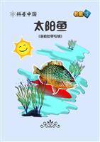 太阳鱼