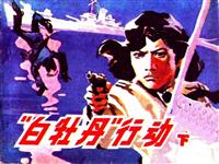 白牡丹行动（下）