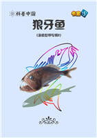 狼牙鱼