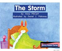TheStorm