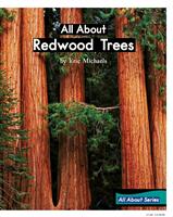 AllAboutRedwoodTrees