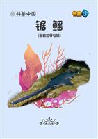 锯鳐