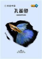 孔雀鱼