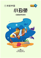 小丑鱼